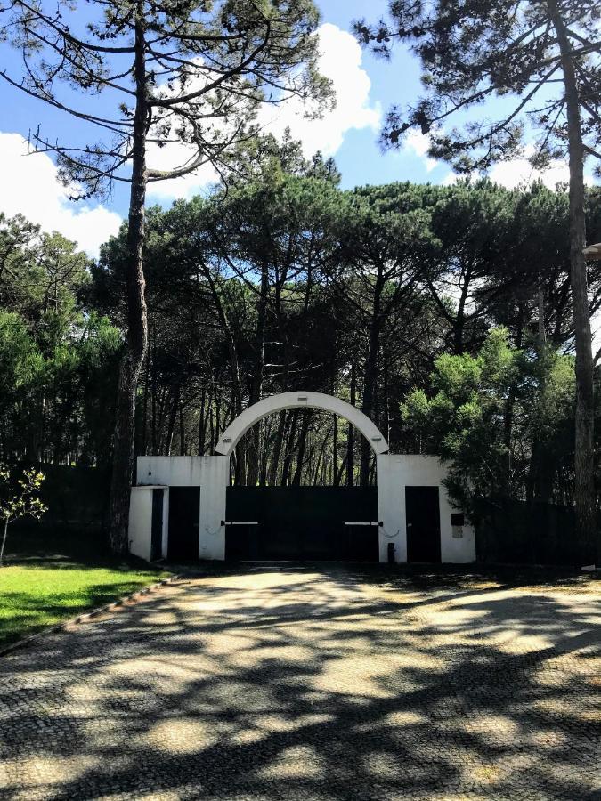 Villa Colares Sintra Bagian luar foto