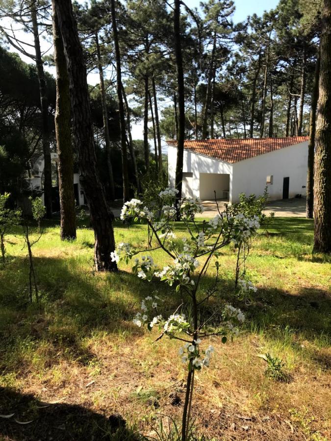 Villa Colares Sintra Bagian luar foto