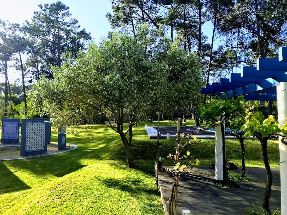 Villa Colares Sintra Bagian luar foto